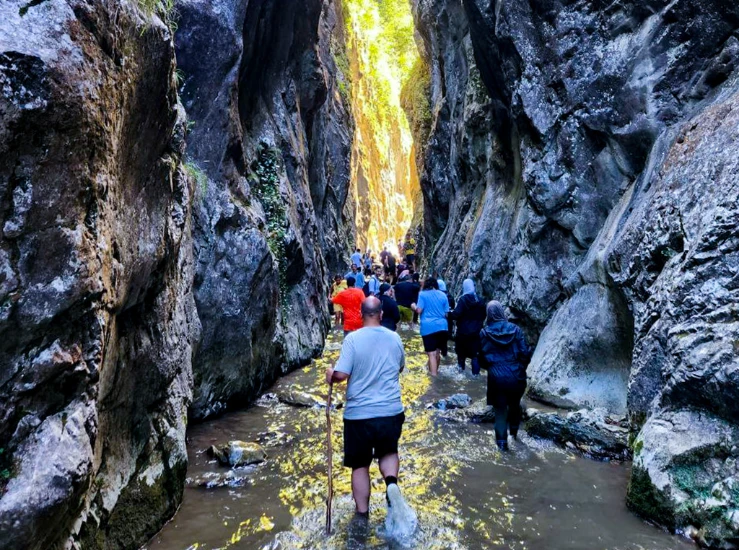 HK | Weight Loss Camp