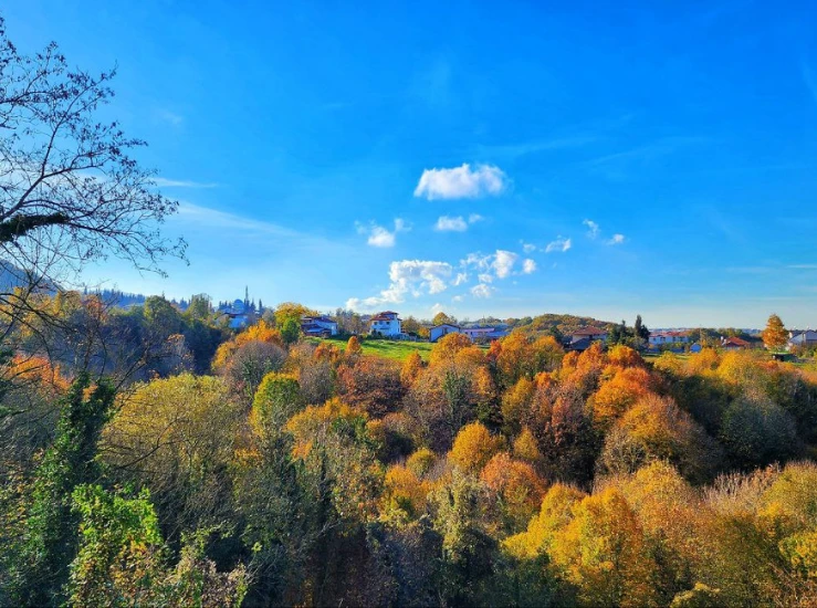 HK | Weight Loss Camp