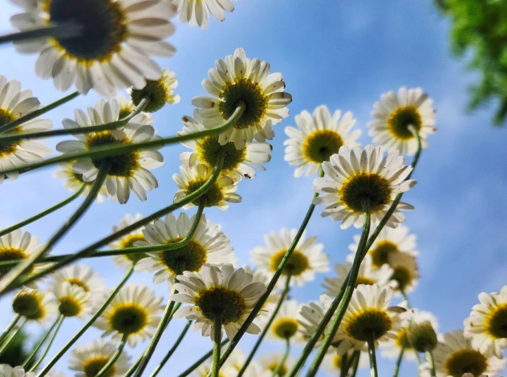 HK | Weight Loss Camp