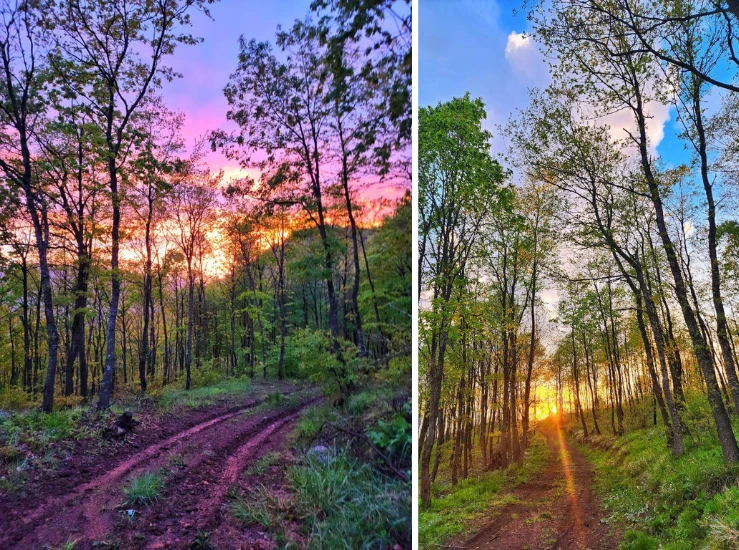 HK | Weight Loss Camp