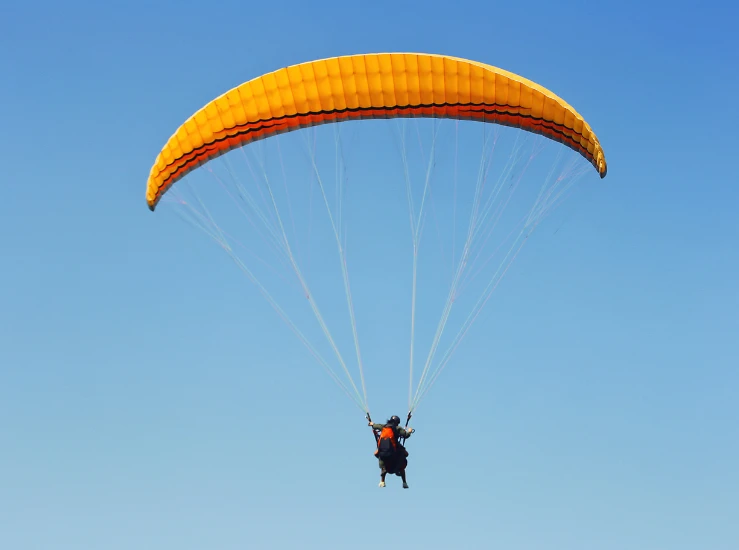 HK | Weight Loss Camp