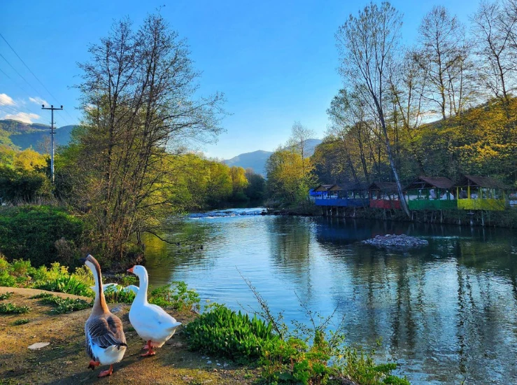 HK | Weight Loss Camp